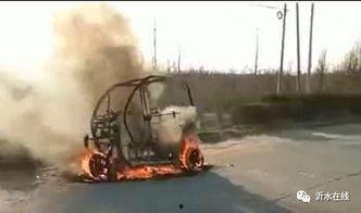 最新事件爆料沂水,揭秘最新事件背后的真相与影响