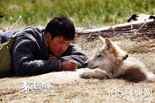 在线观看狼图腾,草原传奇，狼性精神的启示录